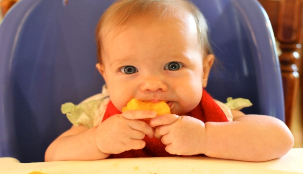 BLW Baby led weaning o alimentación autorregulada