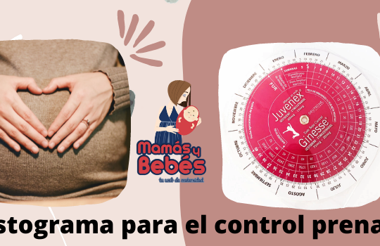 Gestograma para el control prenatal